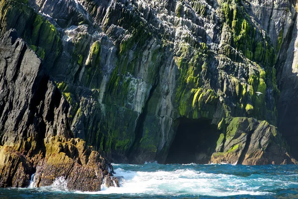 Остров Литтл-Скеллиг, где обитают различные морские птицы и вторая по величине колония оленей в мире, графство Керри, Ирландия. Достопримечательности на маршруте Ирландское кольцо Керри . — стоковое фото