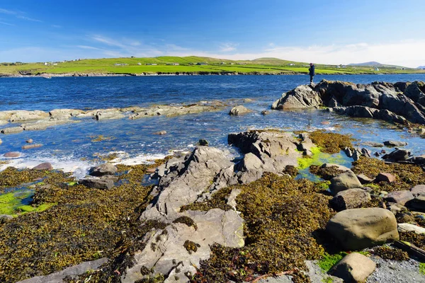 Orilla áspera y rocosa a lo largo de la famosa ruta Ring of Kerry. Península de Iveragh, Condado de Kerry, Irlanda . — Foto de Stock