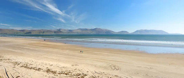Инч-пляж, замечательный 5-километровый участок песка и дюн, популярный для серфинга, плавания и рыбалки, расположенный на пензенском острове Дингл, графство Керри, Ирландия . — стоковое фото
