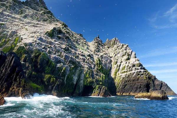 Остров Литтл-Скеллиг, где обитают различные морские птицы и вторая по величине колония оленей в мире, графство Керри, Ирландия. Достопримечательности на маршруте Ирландское кольцо Керри . — стоковое фото
