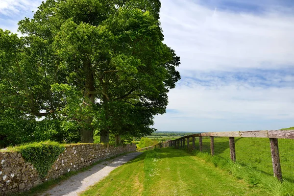 Scenic view of endless lush pastures and farmlands of Ireland. Irish countryside with emerald green fields and meadows. Rural landscape. — Stock Photo, Image