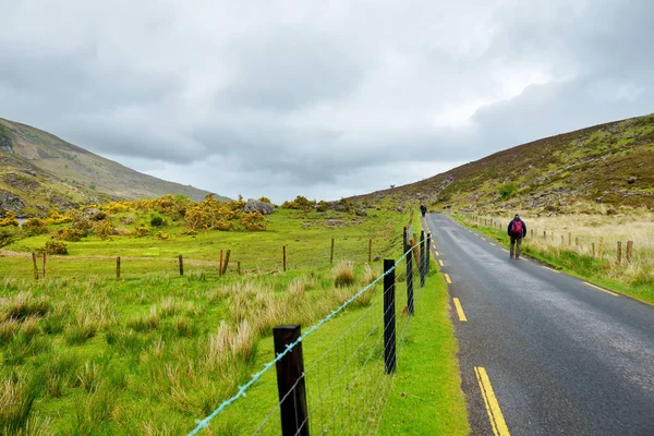 Řeka LOE a úzká horská silnice se projíždějí údolím propasti Dunloe, v níž se potloukal v poskvrněných horách Macgillycuddy, hrabství Kerry, Irsko — Stock fotografie