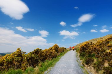 Connemara Milli Parkı, bataklık ve fundalıklar için ünlü, onun koni şeklindeki dağ tarafından izlenen, Diamond Hill, County Galway, İrlanda