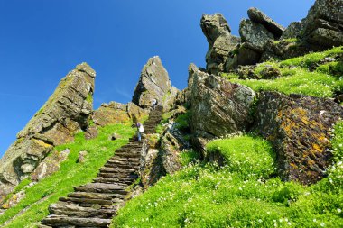 Skellig Michael veya Great Skellig, bir Hıristiyan manastırının yıkık kalıntılarına ev sahipliği yapıyor. Çeşitli deniz kuşlarının yaşadığı bir yer. Unesco Dünya Mirası Alanı, İrlanda.