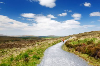 Connemara Milli Parkı, bataklık ve fundalıklar için ünlü, onun koni şeklindeki dağ tarafından izlenen, Diamond Hill, County Galway, İrlanda