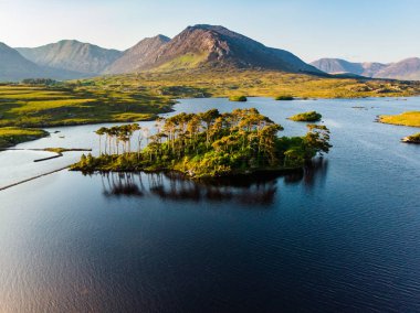 Oniki Pines Adası, oniki Pins veya Twelve Bens, Connemara, County Galway, İrlanda denilen bir dağ sırasının keskin zirveleri tarafından oluşturulan muhteşem bir arka plan üzerinde duran