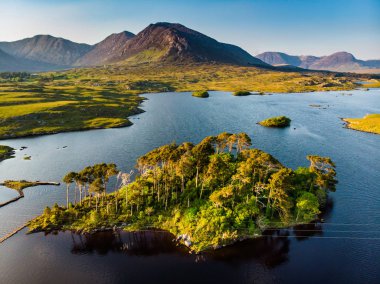Oniki Pines Adası, oniki Pins veya Twelve Bens, Connemara, County Galway, İrlanda denilen bir dağ sırasının keskin zirveleri tarafından oluşturulan muhteşem bir arka plan üzerinde duran