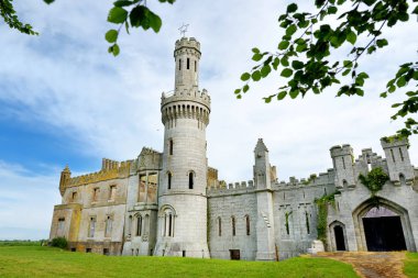 Ducketts Grove kuleleri ve kuleleri, County Carlow, İrlanda'da 19..