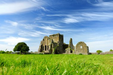 Hore Abbey, Cashel Kayası yakınlarındaki yıkık Sarnıç manastırı, İrlanda