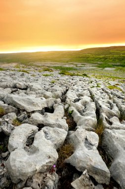 Spectacular landscape of the Burren region of County Clare, Ireland. Exposed karst limestone bedrock at the Burren National Park. clipart
