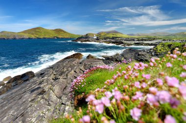 Cromwell Point Valentia Adası Deniz Feneri güzel bir görünüm. Vahşi Atlantik Yolu'nda görülmeye değer yerler. County Kerry, İrlanda.