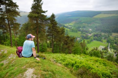 Turist Wicklow Dağları Milli Parkı ormanlık keşfetmek. Glendalough vadisinin eski çam ağaçları ve yemyeşil yeşillikleri, County Wicklow, İrlanda