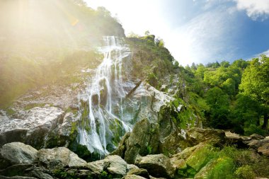 Majestic water cascade of Powerscourt Waterfall, the highest waterfall in Ireland. Tourist atractions in co. Wicklow, Ireland. clipart