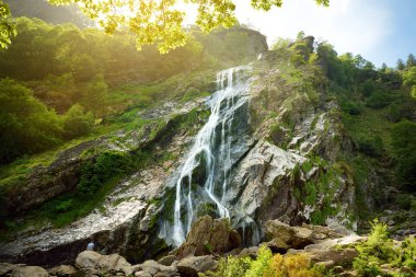 Powerscourt Şelalesi görkemli su çağlayan, İrlanda'nın en yüksek şelale. Co. Wicklow, İrlanda'da turist atractions.