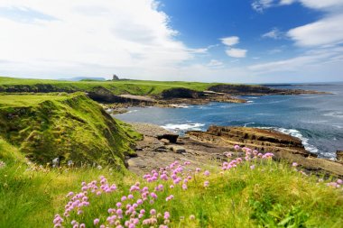 Mullaghmore Head'in muhteşem manzarası, kıyıya vuran dev dalgalar. Muhteşem Classiebawn Kalesi ile pitoresk sahne. Wild Atlantic Way, County Sligo, İrlanda