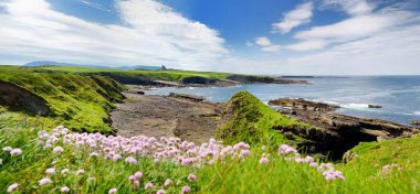 Mullaghmore Head'in muhteşem manzarası, kıyıya vuran dev dalgalar. Muhteşem Classiebawn Kalesi ile pitoresk sahne. Wild Atlantic Way, County Sligo, İrlanda