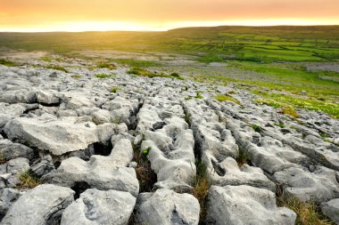 County Clare, İrlanda Burren bölgenin Muhteşem manzara. Burren Milli Parkı'nda maruz kalan karst kireçtaşı anakaya.