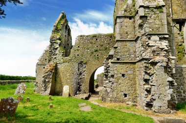 Hore Abbey, Cashel Kayası yakınlarındaki yıkık Sarnıç manastırı, İrlanda