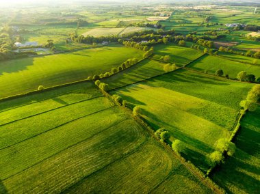 İrlanda'nın uçsuz bucaksız yemyeşil otlaklarının ve tarım arazilerinin havadan görünümü. Yeşil alanlar ve çayırları ile güzel İrlandalı kırsal. Gün batımında kırsal manzara.