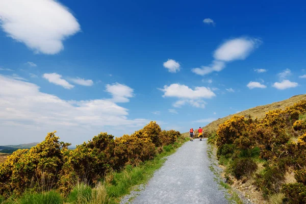 Connemara Nemzeti Park, híres a mocsarak és fenyérek, nézte át a kúp alakú hegy, Diamond Hill, County Galway, Írország — Stock Fotó