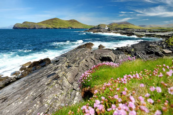 Bela vista do Farol da Ilha Valentia em Cromwell Point. Locais que vale a pena visitar no Caminho do Atlântico Selvagem. County Kerry, Irlanda . — Fotografia de Stock