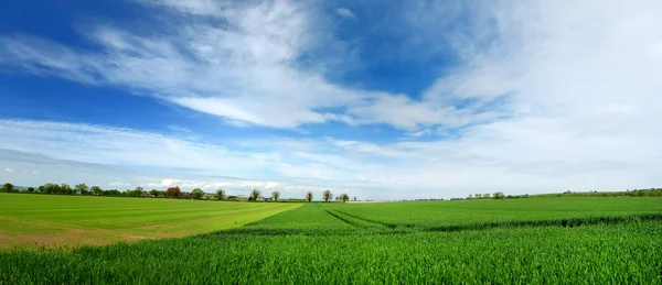 Schilderachtig uitzicht op eindeloze weelderige weilanden en landerijen van Ierland. Ierse platteland met smaragd groene velden en weiden. Landelijk landschap. — Stockfoto
