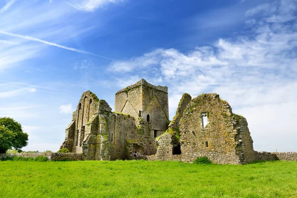 Hore Abbey, ruined Cistercian monastery near the Rock of Cashel, Ireland — Stock Photo, Image