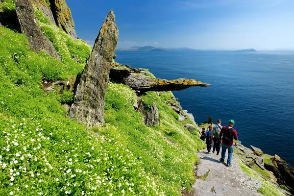 Skellig Michael o Great Skellig, sede dei resti in rovina di un monastero cristiano. Abitato da varietà di uccelli marini. Patrimonio Mondiale UNESCO, Irlanda . — Foto Stock