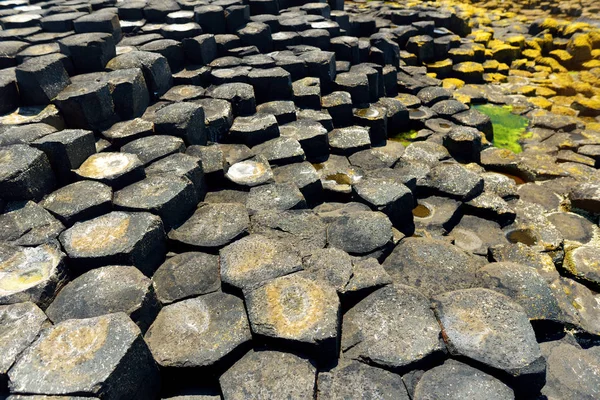 Giants Causeway, altıgen bazalt taşlardan oluşan bir alan, County Antrim, Kuzey İrlanda. Ünlü turistik, Unesco Dünya Mirası. — Stok fotoğraf