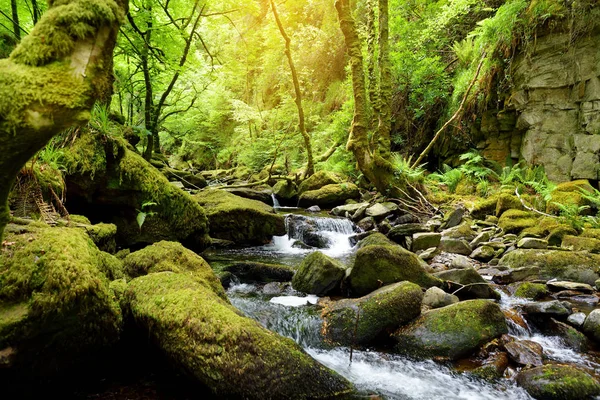 Small waterfalls near Torc Waterfall, one of most popular tourist attractions in Ireland, located in woodland of Killarney National Park. — Stock Photo, Image