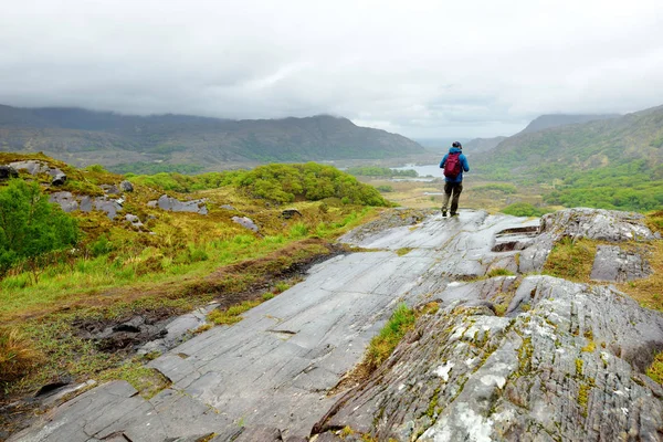 Hiker obdivuje krásu Killarneyho národního parku na vyhlídce Lady 's View. Jeden z nejpůsobivějších pohledů na prsten Kerry, Irsko. — Stock fotografie