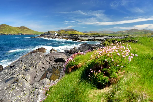 Bela vista do Farol da Ilha Valentia em Cromwell Point. Locais que vale a pena visitar no Caminho do Atlântico Selvagem. County Kerry, Irlanda . — Fotografia de Stock