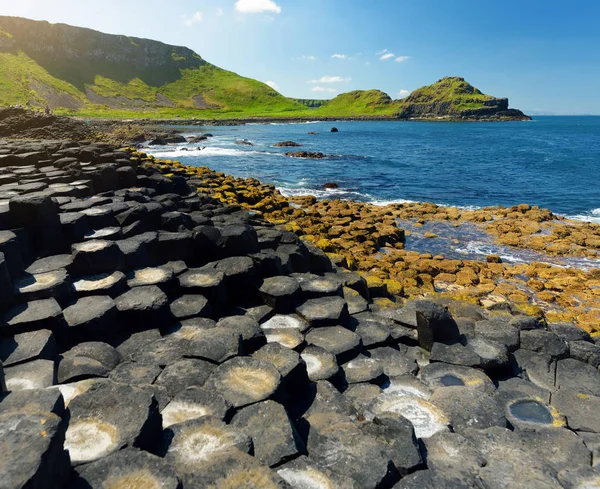 Giants Causeway, une zone de pierres de basalte hexagonales, comté d'Antrim, Irlande du Nord. Attractions touristiques célèbres, site du patrimoine mondial de l'UNESCO . — Photo