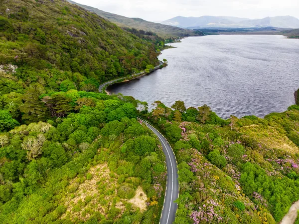 Belle vue sur le parc national du Connemara, célèbre pour ses tourbières, landes et lacs, comté de Galway, Irlande — Photo