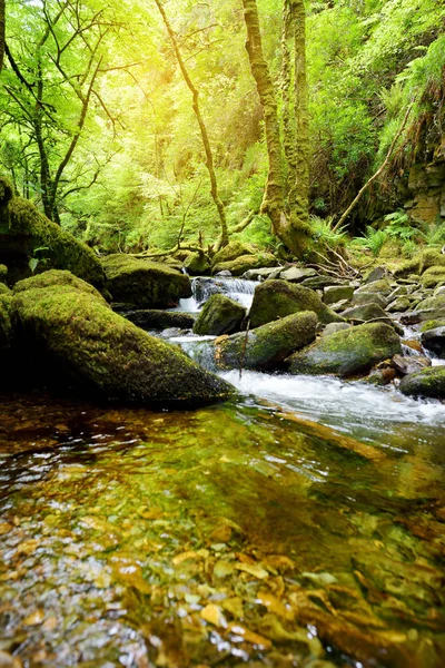 Małe wodospady w pobliżu Torc wodospad, jeden z najbardziej popularnych atrakcji turystycznych w Irlandii, znajduje się w lesie Parku Narodowego Killarney. — Zdjęcie stockowe