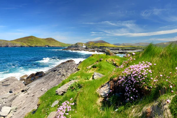 Belle vue sur le phare de l'île Valentia à Cromwell Point. Lieux à visiter sur le Wild Atlantic Way. Comté Kerry, Irlande . — Photo