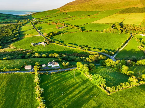 Vue aérienne des pâturages luxuriants et des terres agricoles d'Irlande. Belle campagne irlandaise avec des champs verts et des prairies. Paysage rural au coucher du soleil . — Photo