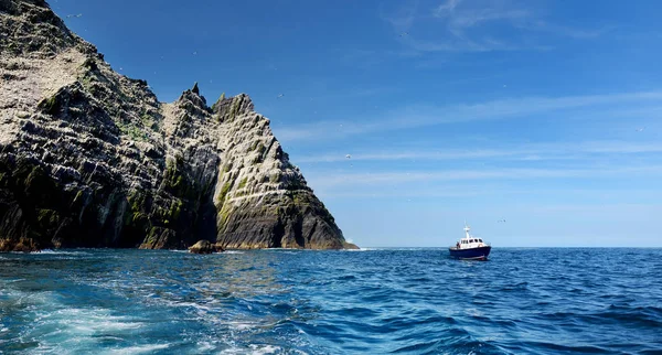 리틀 스켈리그 섬은 다양한 해조와 세계에서 두 번째로 큰 가넷 식민지인 아일랜드 케리 카운티가 살고 있습니다. 아일랜드 링 오브 케리 루트의 관광 명소. — 스톡 사진
