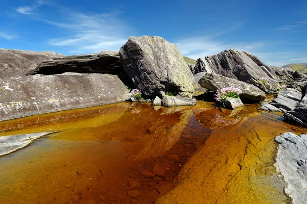 Orilla áspera y rocosa a lo largo de la famosa ruta Ring of Kerry. Península de Iveragh, Condado de Kerry, Irlanda . — Foto de Stock