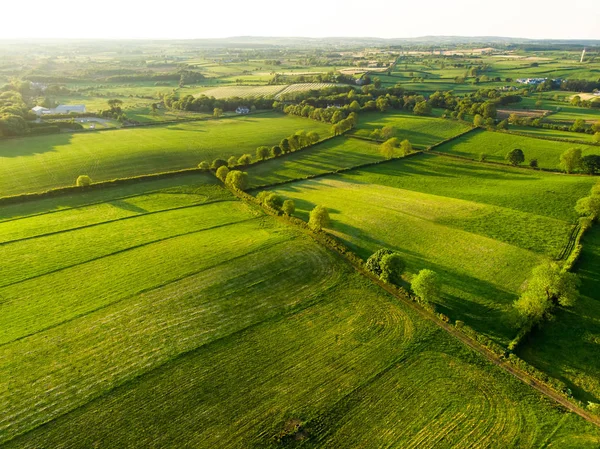 İrlanda'nın uçsuz bucaksız yemyeşil otlaklarının ve tarım arazilerinin havadan görünümü. Yeşil alanlar ve çayırları ile güzel İrlandalı kırsal. Gün batımında kırsal manzara. — Stok fotoğraf