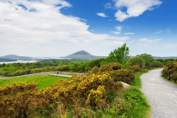 Connemara Milli Parkı, bataklık ve fundalıklar için ünlü, onun koni şeklindeki dağ tarafından izlenen, Diamond Hill, County Galway, İrlanda — Stok fotoğraf