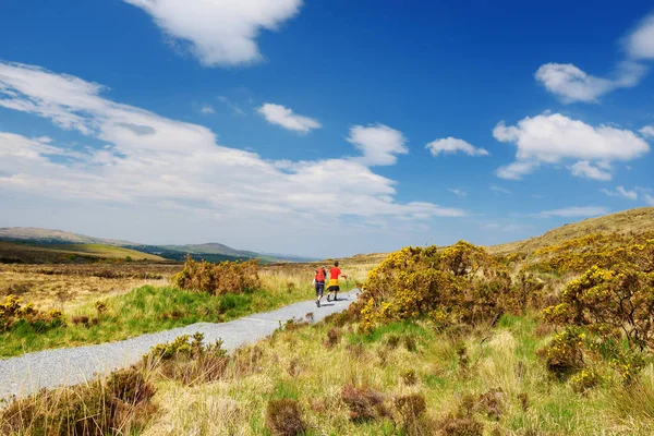 Connemara Nationalpark, berühmt für Sümpfe und Heiden, bewacht von seinem kegelförmigen Berg, Diamantenhügel, County Galway, Irland — Stockfoto