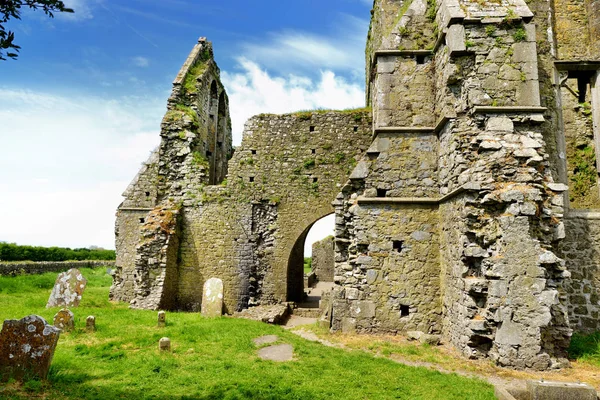 HORE Abbey, romos ciszterci kolostor közelében, a Rock of Cashel, Írország — Stock Fotó