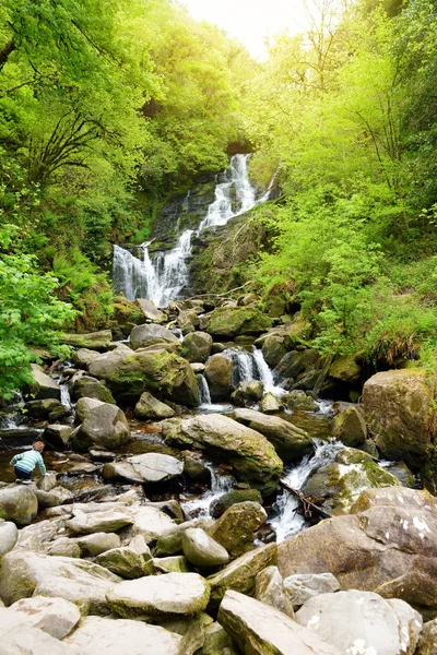 Fackelwasserfall, eine der bekanntesten Touristenattraktionen Irlands, im malerischen Wald des Killarney Nationalparks gelegen. — Stockfoto