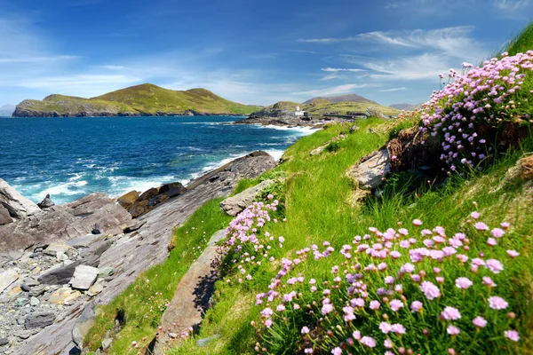 Bela vista do Farol da Ilha Valentia em Cromwell Point. Locais que vale a pena visitar no Caminho do Atlântico Selvagem. County Kerry, Irlanda . — Fotografia de Stock