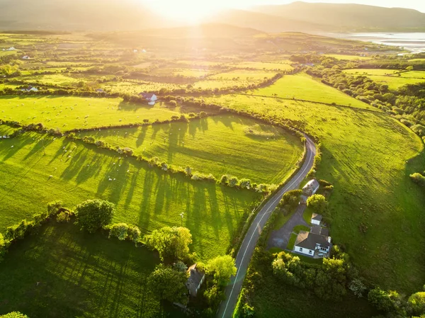 Légifotó a végtelen buja legelők és termőföldek Írországban. Gyönyörű ír vidék zöld mezőkkel és rétekkel. Vidéki táj naplementekor. — Stock Fotó