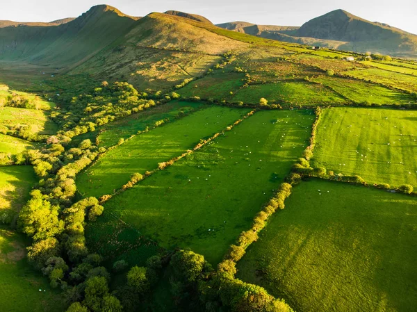 Vista aérea de un sinfín de exuberantes pastos y tierras de cultivo de Irlanda. Hermosa campiña irlandesa con campos verdes y prados. Paisaje rural al atardecer . —  Fotos de Stock