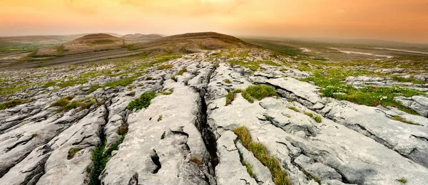 爱尔兰克莱尔郡伯伦地区的壮观景观。布伦国家公园裸露的岩溶石灰岩基岩. — 图库照片