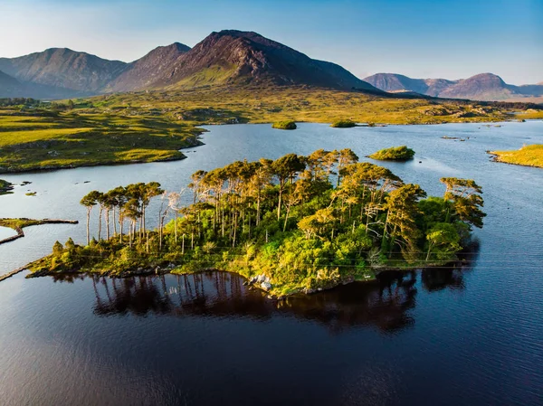 Oniki Pines Adası, oniki Pins veya Twelve Bens, Connemara, County Galway, İrlanda denilen bir dağ sırasının keskin zirveleri tarafından oluşturulan muhteşem bir arka plan üzerinde duran — Stok fotoğraf