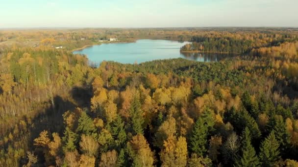 Sonbahar ormanının kuş bakışı manzarası ve küçük bir göl — Stok video